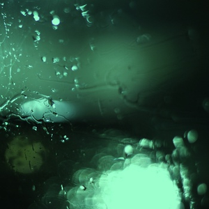 亚洲中文字幕无码专区
