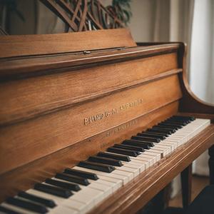 亚洲中文字幕无码专区
